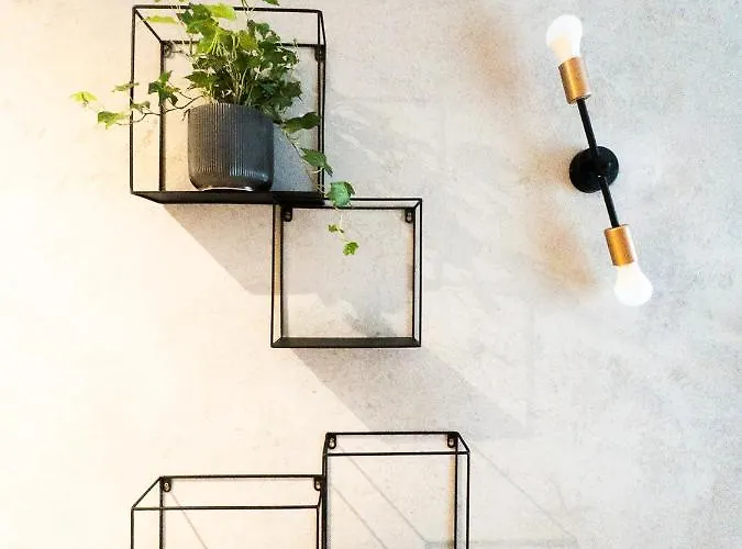 Apartamento Mint Doki